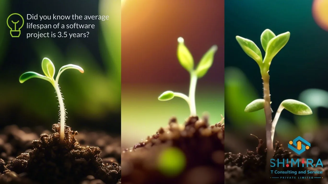 A seedling growing into a plant.
